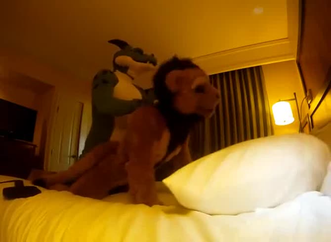 Video :Lion getting fucked by a crocodile animal porno